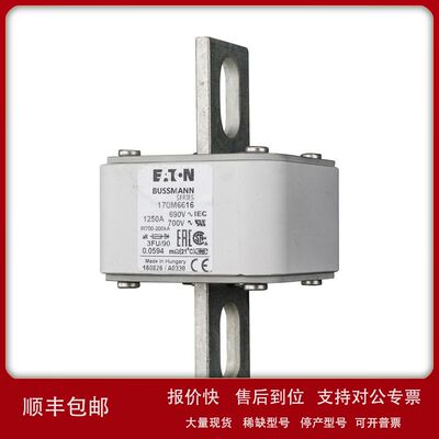 美国Bussmann熔断器170M6618议价