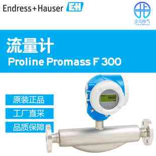 德国EndressHauser Coriolis Flowmeter Proline Promass F 300