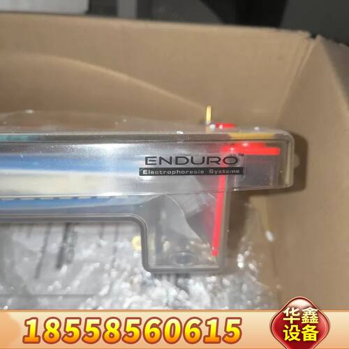 Labnet莱伯特E1015-10水平电泳槽 Enduro系