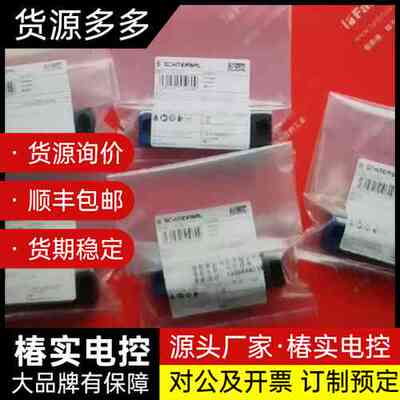 Schmersal 101213820 施迈赛安全传感器 R询价