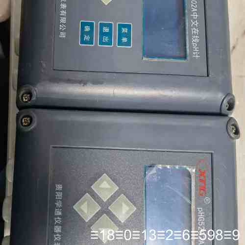 XTIG~pHG5102A中文在线pH计：议价