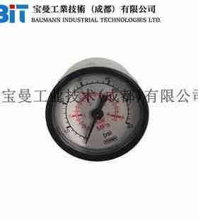 FISHER费希尔阀门定位器0-30PSI全不锈钢压力表11B9639X012尺寸2