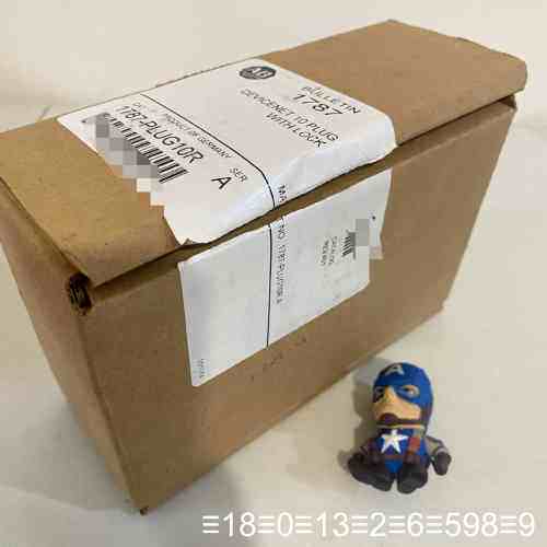 1787-PLUG10R,1787PLUG10R；议价