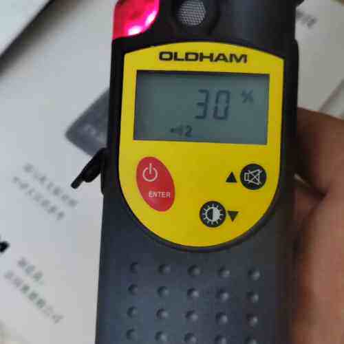 EX2000 可燃气体检测仪 OLDHAM奥德姆气体探测仪器议价维修