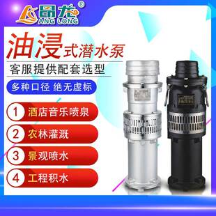 QY不锈钢大流量油浸泵三相喷泉泵家用农用园林抽水泵耐腐蚀潜水泵