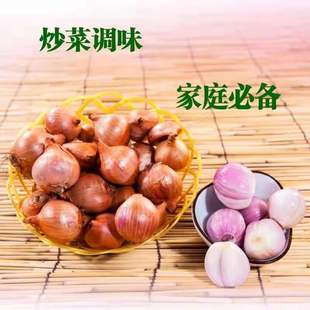 2024年新正宗东北笨毛葱干葱头红葱头小洋葱5斤特价装,保证质量