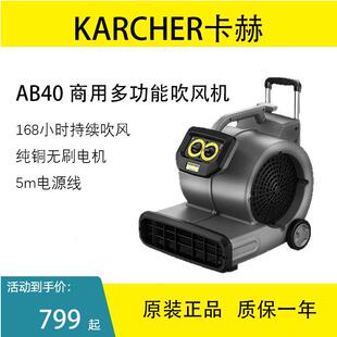 凯驰卡赫吹风机鼓风机AB40强劲风量纯铜无刷电机7*24小时连续吹风