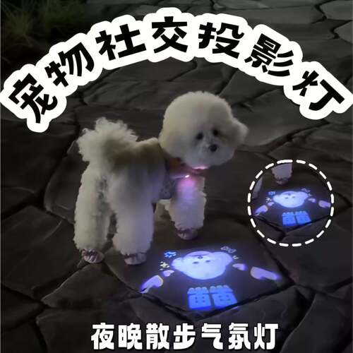 宠物社交投影灯狗狗夜行防丢+LED