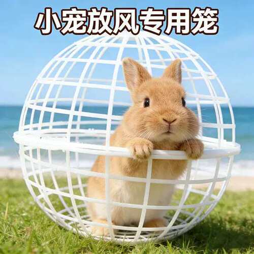 小兔子户外放风神器散养溜兔玩具