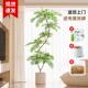 彷真绿色植物蓝色 花楹盆栽高端轻奢室内客厅大型彷生假树落地装