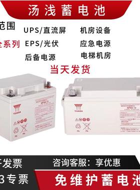 YUASA汤浅蓄电池 NP12V38A12A17A18A24A65A100A120AH UPS/EPS