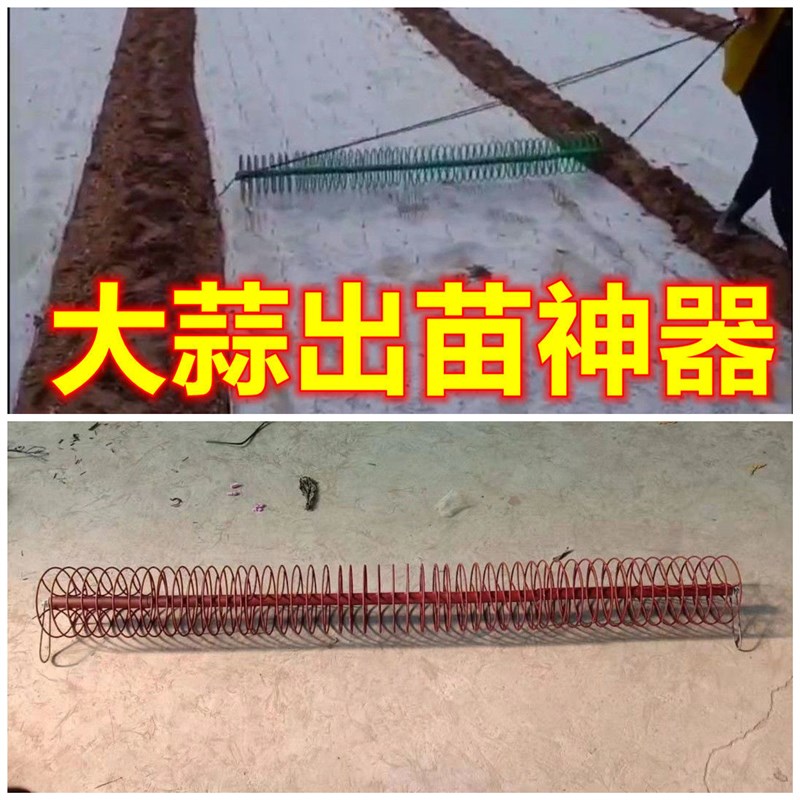 大蒜出苗器大蒜苗芽破膜助力工具铁环圆环种大蒜工具出苗神器