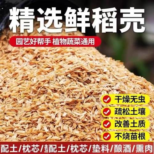 稻壳新鲜稻壳谷壳喂鸡宠物垫料芦丁鸡纯干枕头芯填充酿酒饲料