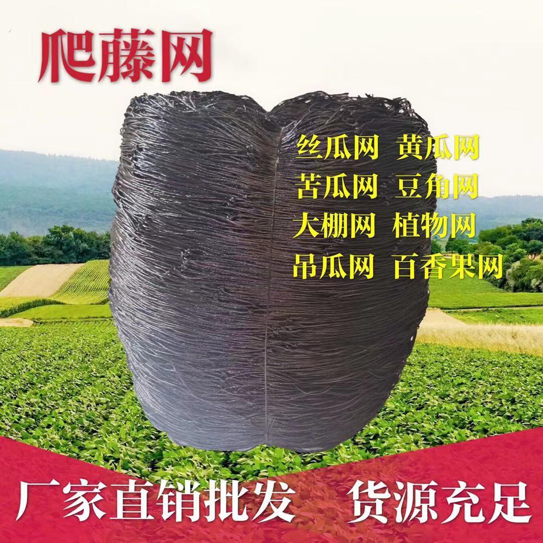 爬藤网罗汉果百香果搭架专用网苦瓜丝瓜植物攀爬藤蔓网豆角网