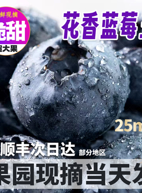 云南抚仙湖花香蓝莓L25高山蓝梅鲜果当季新鲜现摘大果孕妇水果