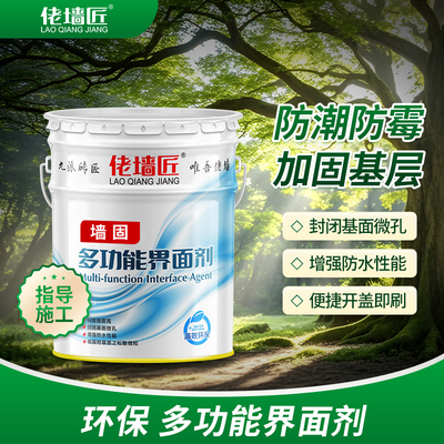 墙固2329界面剂内外墙加固剂高渗透性胶防水防霉地面墙面拉毛专用