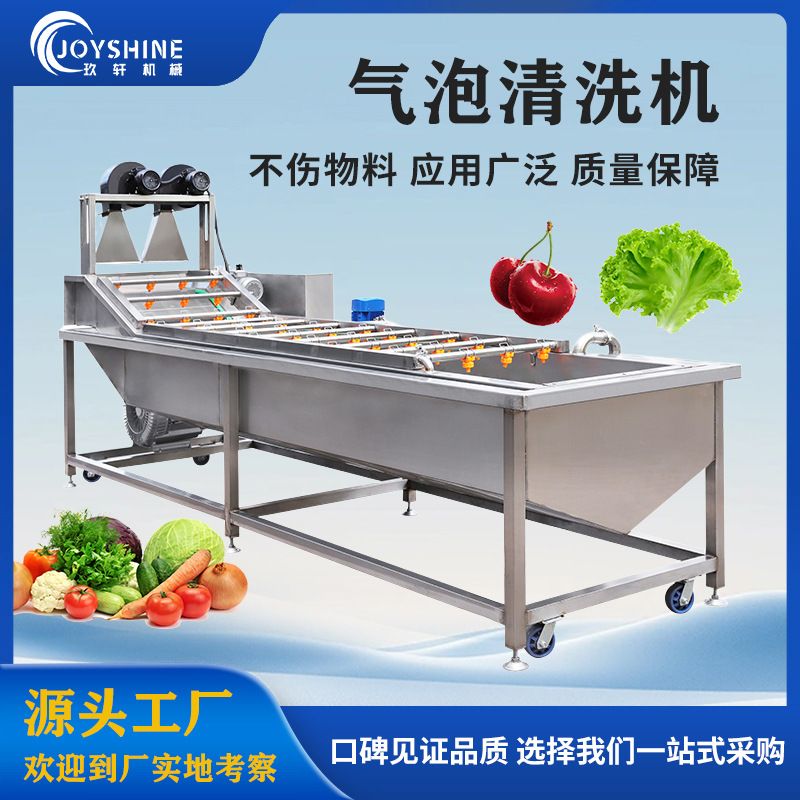 全套果蔬清洗流水线 商用土豆胡萝卜气泡清洗去泥设备