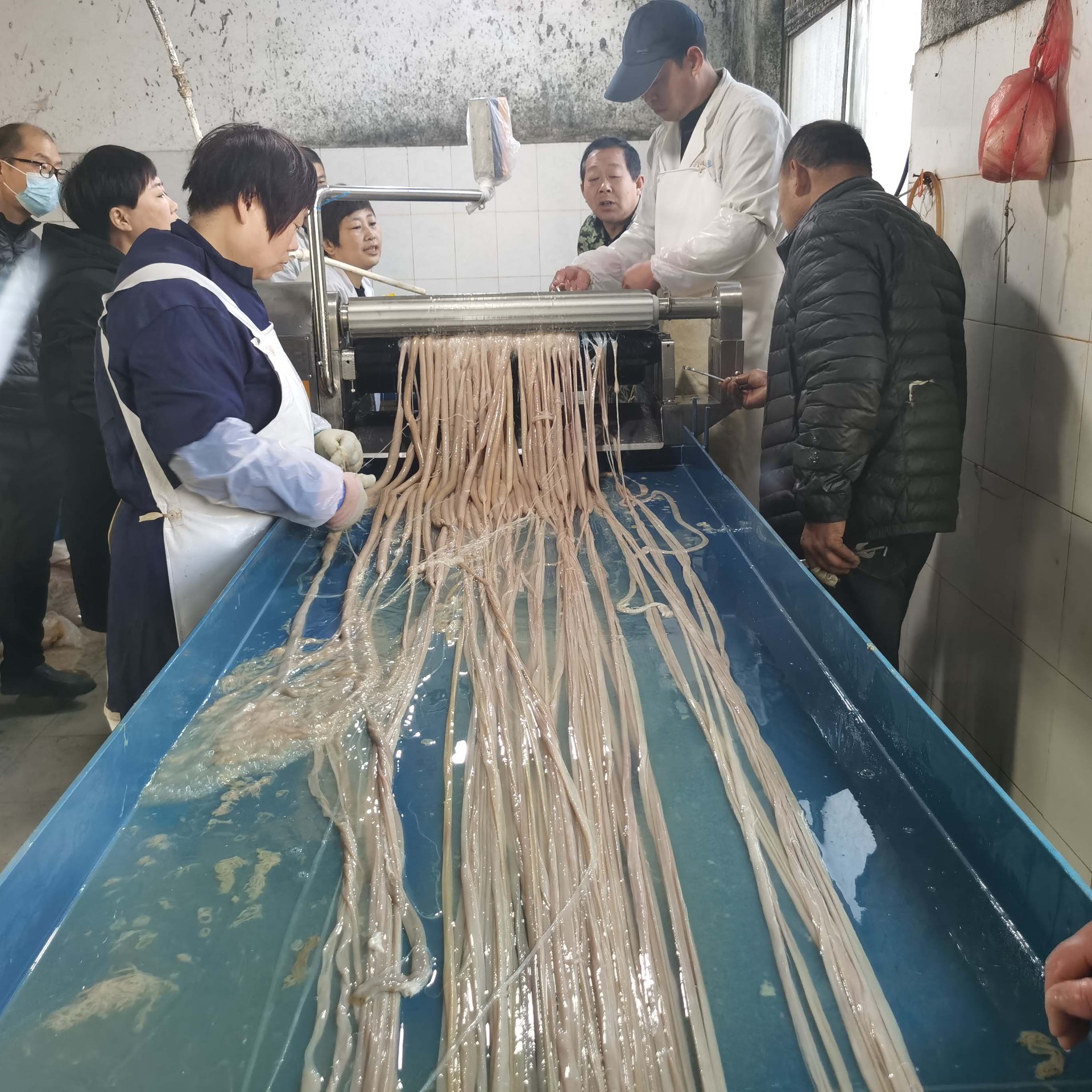 猪小肠羊小肠清洗机肝素钠生产线304不锈钢小肠清洗机肠衣清洗机