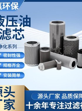 众赢环保 油除杂质润滑油液压保护过滤器滤芯1.01.NR1000.6VG