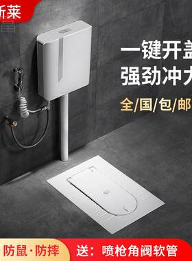 睿富蹲便器水箱套装带盖板家用防臭厕所陶瓷大便盆卫生间蹲坑式