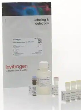 赛默飞 Invitrogen Qubit RNA High 试剂盒 Q32852