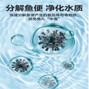 疯狂石头硝化细菌鱼缸用硝化菌消化活菌稳定水质清澈剂净水剂养鱼