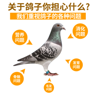 鸟食速勇保健沙赛鸽信鸽子保健砂补钙营养红土20公斤广东省内 包邮