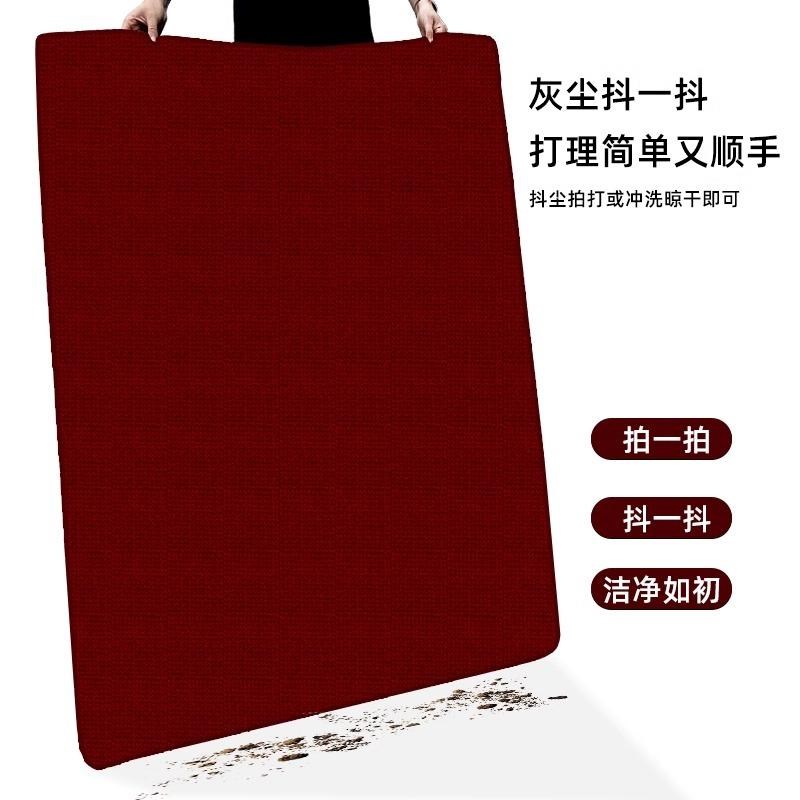 入户门地垫仿剑麻进门门垫红色地毯家用大么口玄关脚垫可裁剪垫子