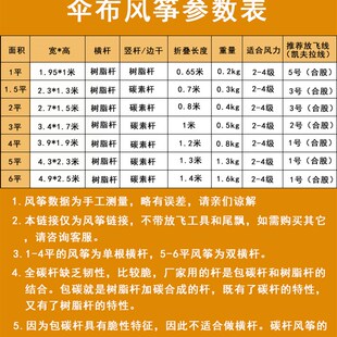 王侉子风筝大型三角伞布碳杆成人微风风筝544软伞布易飞新款风筝