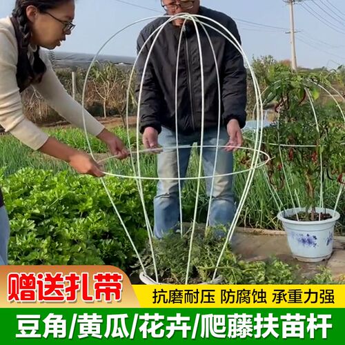 爬藤架拱门月季西瓜葡萄花柱架子黄瓜豆角丝瓜扶苗花架植物箱支架