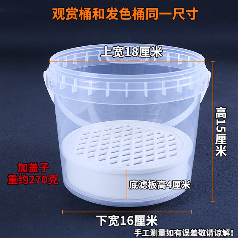 乌龟桶白色奶茶桶养龟带隔板过滤小水桶带盖蛋龟育苗容器透明鱼缸