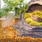 木纹石鱼缸装 饰底砂龟缸造景沙子水族箱铺底石头子草缸鹅卵石摆件