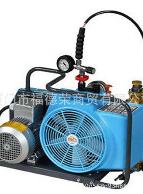 Honeywel霍尼伟尔电动充气泵BC163099B