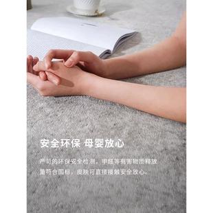 卧室现代简约极简耐脏易打理短毛地垫高级灰 轻奢地毯客厅家用新款