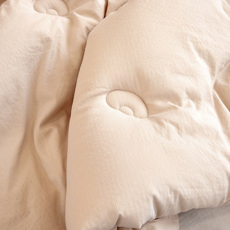 宿舍单人学生秋天盖的被子被芯家用被子冬被2米2x2米4 200x230cm