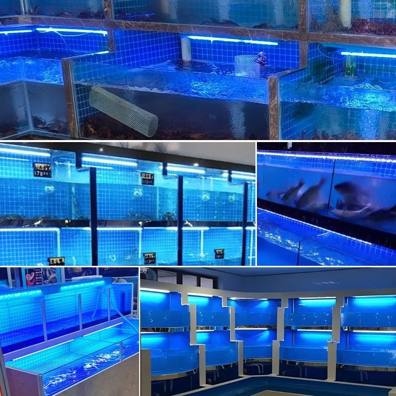 海鲜池专用灯led灯条鱼缸灯防水蓝白光水产鱼池专用灯管照明灯,家装灯饰光源,LED灯管,淘宝优惠券,粉丝福利购,淘宝优惠卷