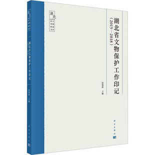 湖北省文物保护工作印记汤强松科学出版 新书 社 正版