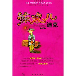 流浪儿迪克冯杨海南出版 包邮 书 社 正版