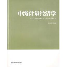 【正版书包邮】中级计量经济学孙敬水上海财经大学出版社
