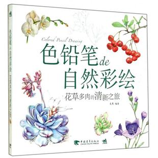 正版 清新之旅麦果中国青年出版 书 色铅笔de自然彩绘花草多肉 社 包邮