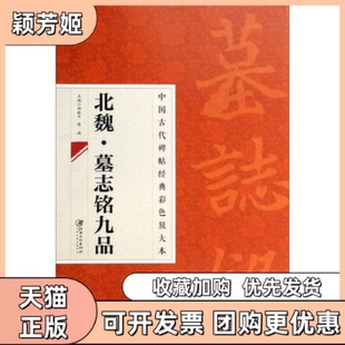 【正版书包邮】北魏墓志铭九品邱振中陈政江西美术出版社