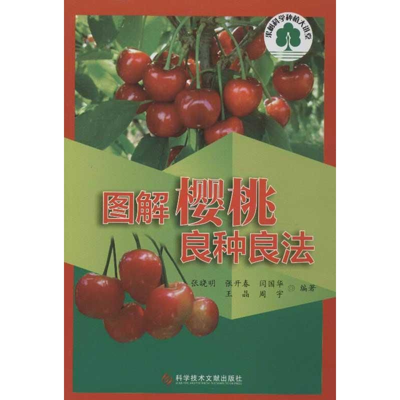 【正版书包邮】果树科学种植大讲堂图解樱桃良种良法张晓明张开春闫国华科技文献出版社