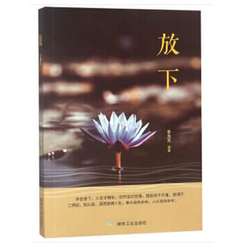 【正版书包邮】放下李浩天煤炭工业出版社