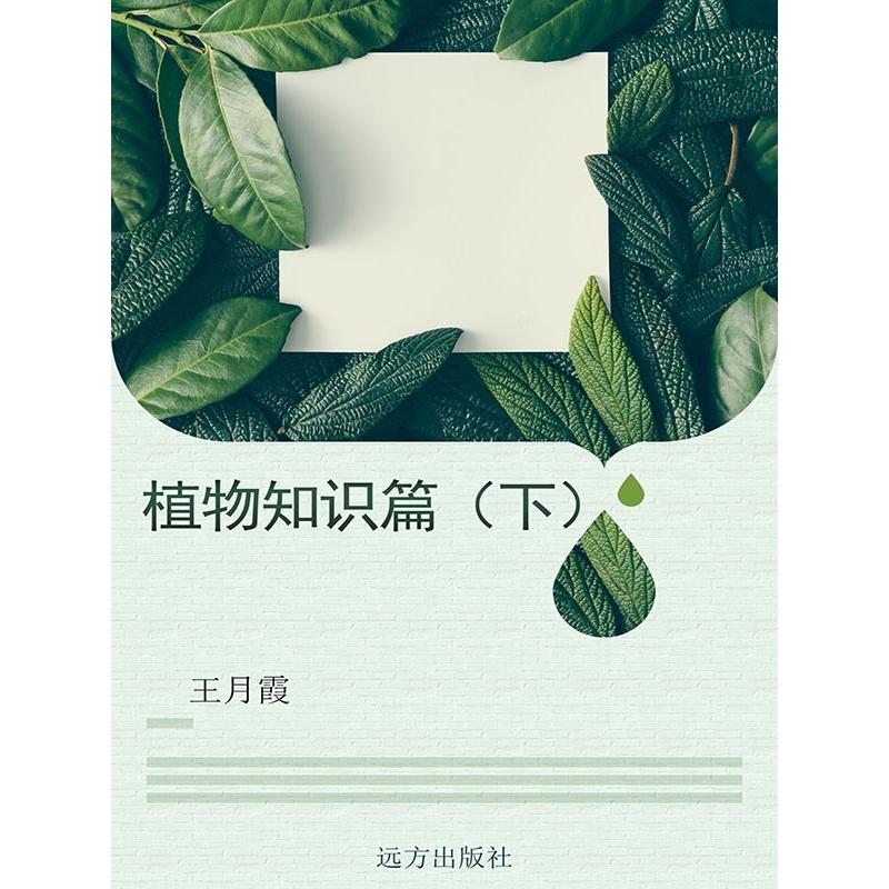 【正版书包邮】儿童填色海报梦幻游乐场贺有筠江西美术出版社