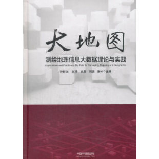 大地图：测绘地理信息大数据理论与实践孙世友谢涛姚新刘锐中国环境出版 包邮 书 社 正版