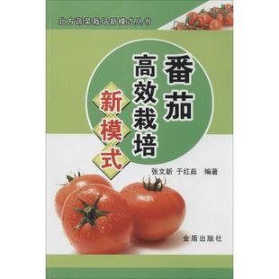 【正版书包邮】番茄栽培新模式张文新于红茹金盾出版社