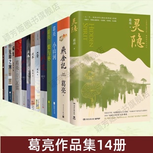 戏年 入瓷 瓦猫 猫生 小山河 北鸢 图书 浣熊 正版 燕食记 梨与枣 七声 书匠 无岸之河 问米 灵隐 葛亮作品集14册