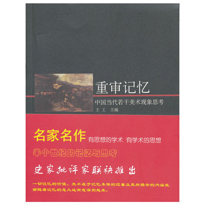 【正版书包邮】重审记忆中国当代若干美术现象思考王工河北教育出版社