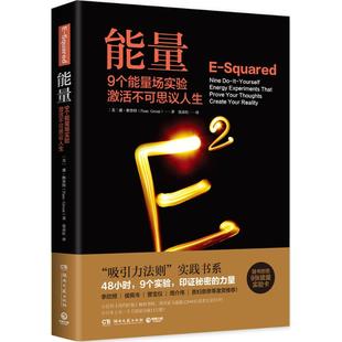 能量潘·格鲁特湖南文艺出版 包邮 书 社 正版