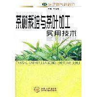 【正版书包邮】茶树栽培与茶叶加工实用技术包小村中南大学出版社